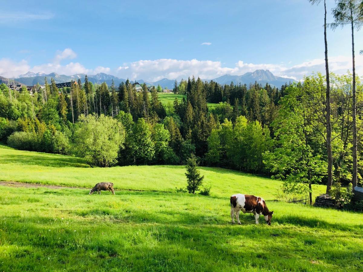 Apartament Tatrzańska Polana 5E Zakopane Zewnętrze zdjęcie